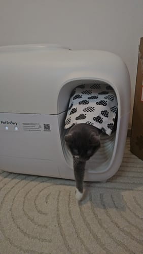 Customer photo review of Self-Cleaning Litter Box