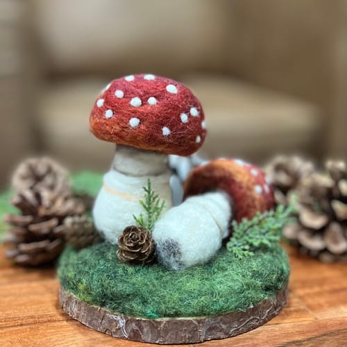 Customer photo review of Sophie Wheatley's Felted Fungi Supplies Box