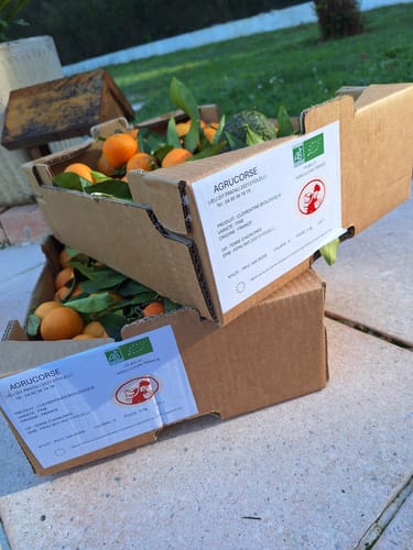 P. review of Clémentines Bio - Origine Corse image 1 out of 1