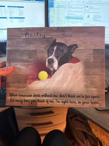 Customer photo review of Colored Pet Memorial Sign