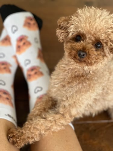 Petra C. review of Personalisierte Socken mit deinem Haustier image 1 out of 1