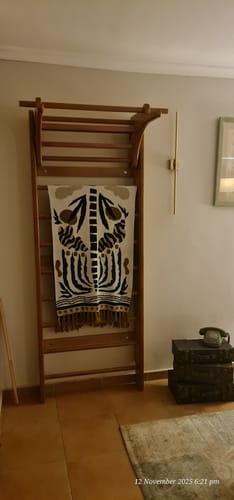 Customer photo review of Swedish Ladder Pro