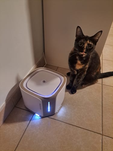 Customer photo review of Pet Water Fountain