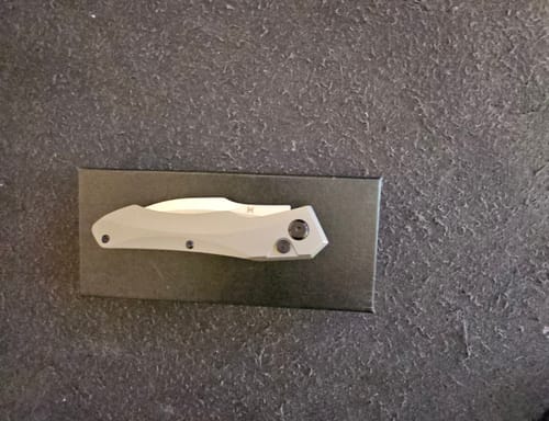 Customer photo review of Hendrix Titanium M390 Auto Hell Hawk Switchblade