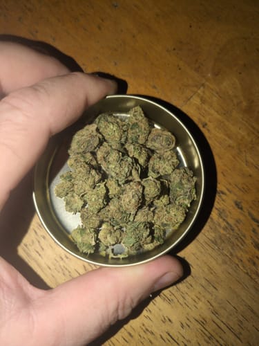 Customer photo review of Grape Cream Cake Minis - Bulk Minis - Indica