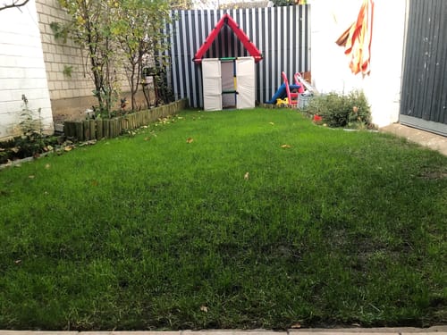 Customer photo review of Animatio® Herbst-Rasendünger