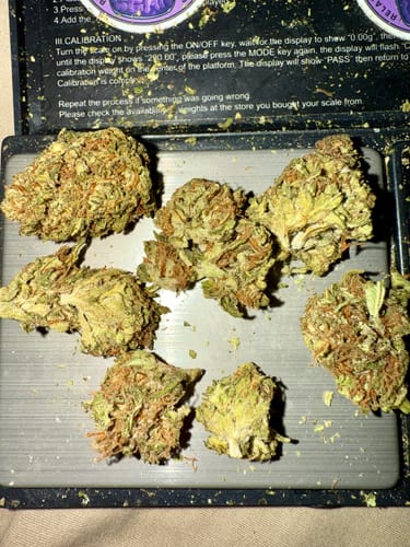 Customer photo review of Cheap THCA Flower Ounce