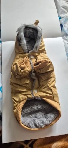 Customer photo review of Blusão Impermeável, de Inverno, para Cães Pequenos e Médios
