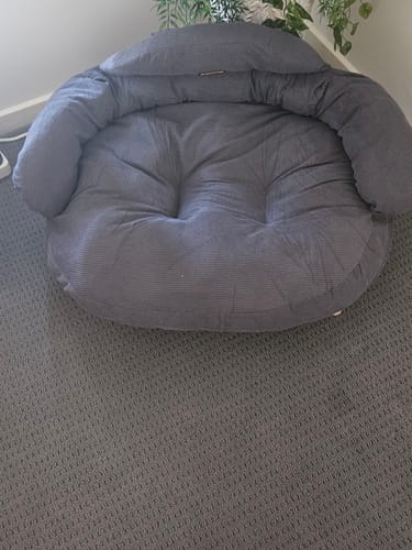 Customer photo review of CloudNest Elevated Pet Sofa Bed