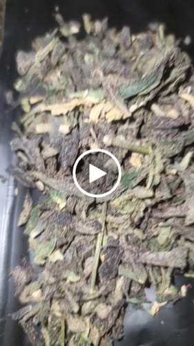Customer video review of Purple Urkle THCA Trim