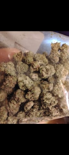 Customer photo review of Tahoe OG – Budget THCA (Smalls)