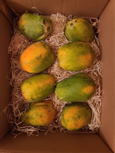 Customer photo review of Baby-Papaya Bio von Julian Aktionsbox