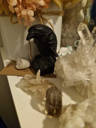 Customer photo review of Black Obsidian Raven Carving Medium