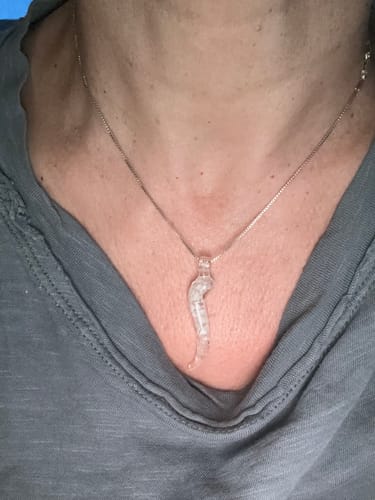 Customer photo review of Italian Horn Pendants with Cremation Ash
