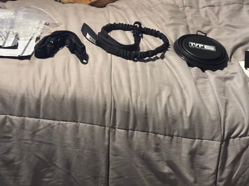 Customer photo review of T.V.P. Pet Accessory Bundle