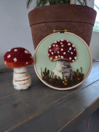 Customer photo review of Sophie Wheatley's Felted Fungi Supplies Box