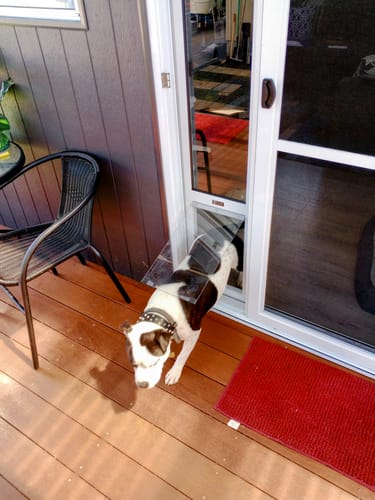 Customer photo review of Pet Door Inserts