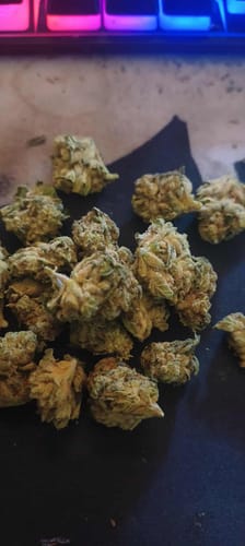 Customer photo review of Berry Pie THCA Flower LB