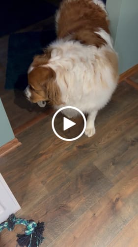 Customer video review of DA-1™ Daily All-in-One Complete Care