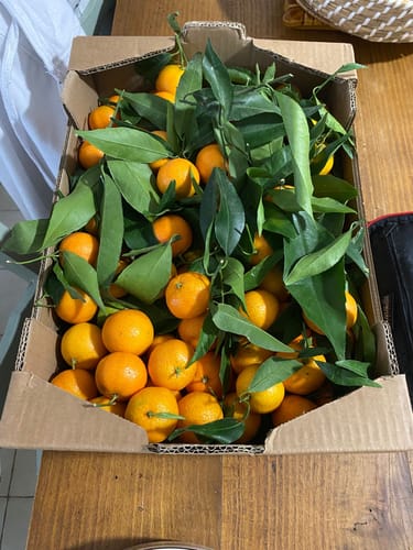 Nathalie M. review of Clémentines Bio - Origine Corse image 1 out of 1