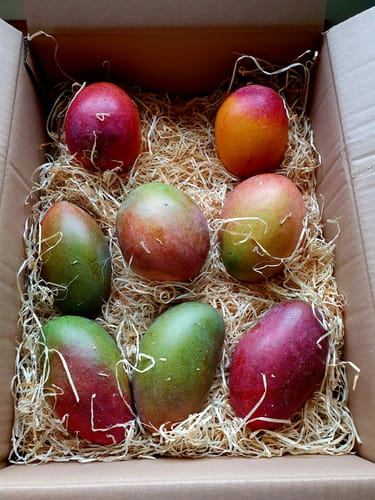 Customer photo review of Mango Mix Bio von Julian Sonderaktion % 3kg
