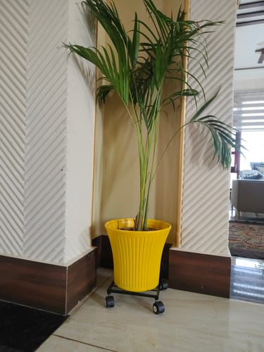 Customer photo review of United Crafts Rozy Wheel Pot Stands for Planters