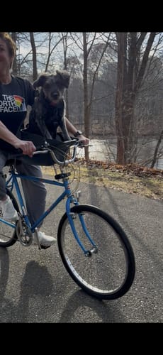 Customer photo review of Kvisp Dog Bike Carrier