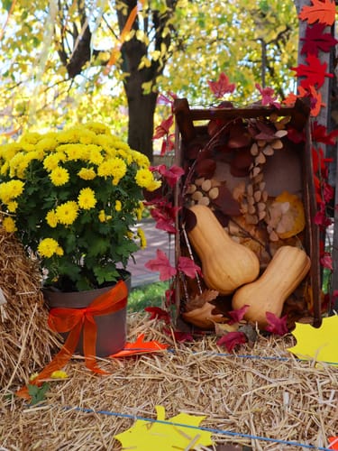 Customer photo review of Дамска риза "Самоковска"