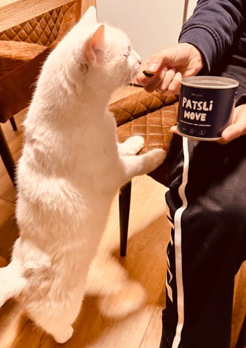 Customer photo review of Patsli Move