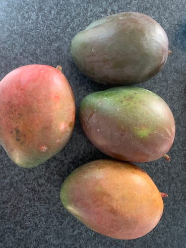Customer photo review of Riesenmangos Bio von Julian Retterbox %
