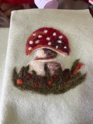 Customer photo review of Sophie Wheatley's Felted Fungi Supplies Box