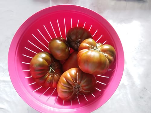 Customer photo review of Delikatesstomaten „Adora“ von Julian