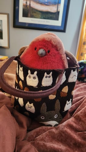 Customer photo review of Totoro's Tiny Acorn Treasure Tote