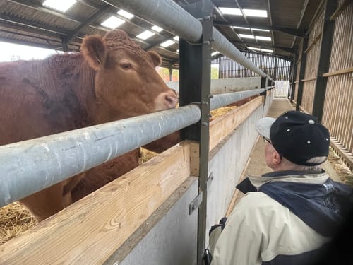 Customer photo review of MobilityPlus+ Traveller Aluminium Transit Wheelchair