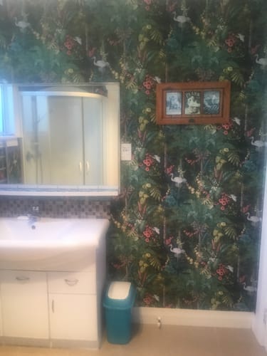 Customer photo review of Masoala - Black - Discontinuing - 12 Incoming