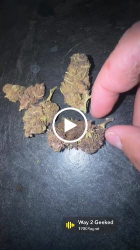 Customer video review of Cheap Runtz – Budget THCA