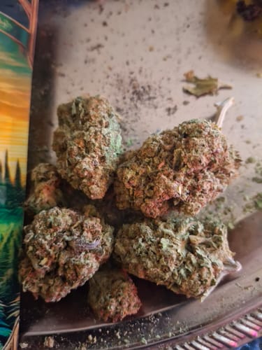 Customer photo review of Donkey Butter - Light Dep THCA (Full Size)