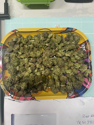 Customer photo review of Grand Daddy Purple THCA Smalls