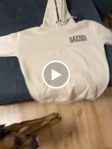 Customer video review of Lifestyle Damen Oversized Hoodie beige mit Stickerei by SAEBIS®
