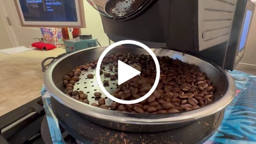 Customer video review of CINNAMON ROLL | DIEGO BERMUDEZ M-03 CASTILLO - GREEN BEANS