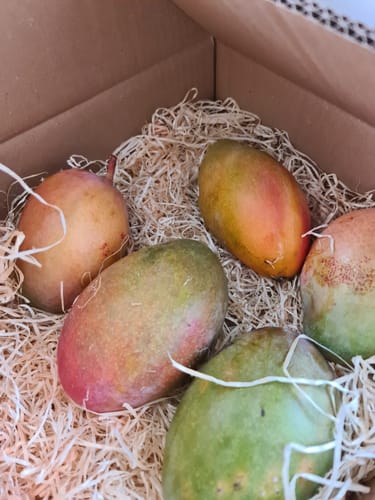 Customer photo review of Mango Mix Bio von Julian Sonderaktion % 3kg
