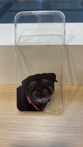 Mayra G. review of Hülle image 1 out of 1