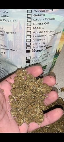 Customer photo review of Purple Nebula Indoor THCA Trim