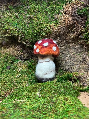 Customer photo review of Sophie Wheatley's Felted Fungi Supplies Box