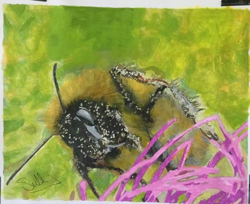 Customer photo review of Custom Landscape Paint By Numbers