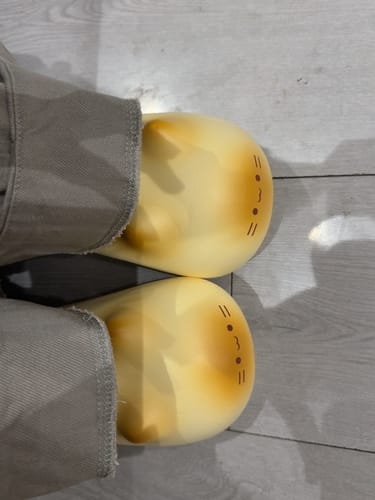Customer photo review of Bread Kitten Slippers