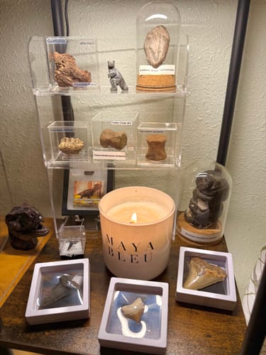 Customer photo review of The Original Shark Tooth Candle