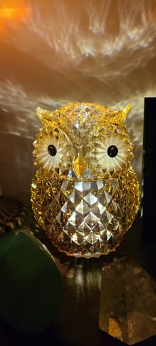 Customer photo review of Diamond Cut Amber Owl Jar