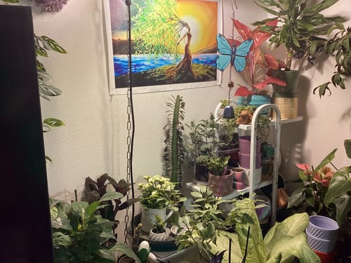 Mary B. review of Flora Pod™ - Earth's Smartest Plant Monitor image 4 out of 5