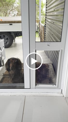 Customer video review of Patio Pet Door Insert